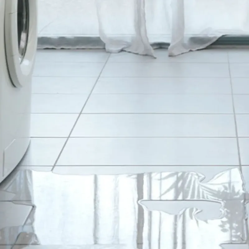 Appliance Leak Cleanup in Forrest City, AR