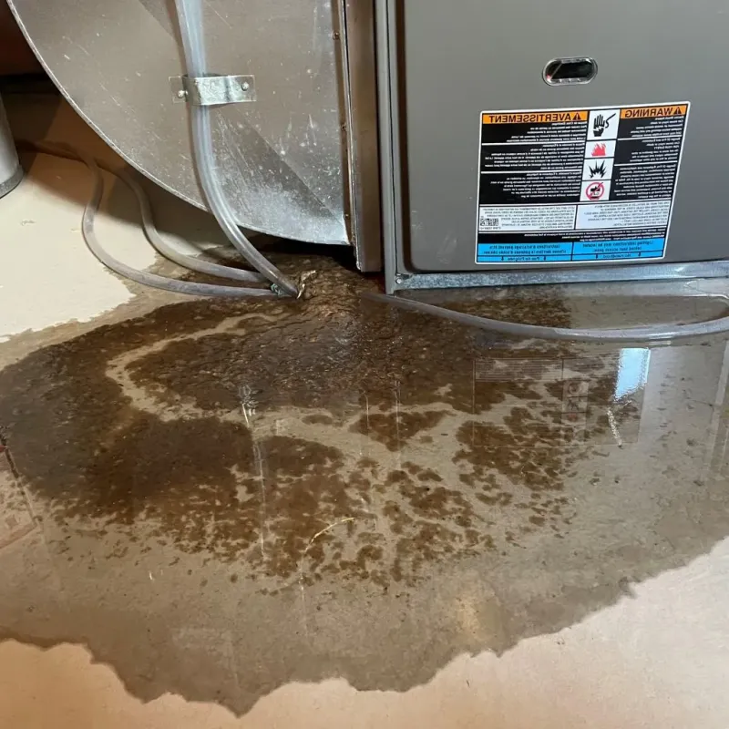 Pipe Burst and Leak Restoration in Forrest City, AR